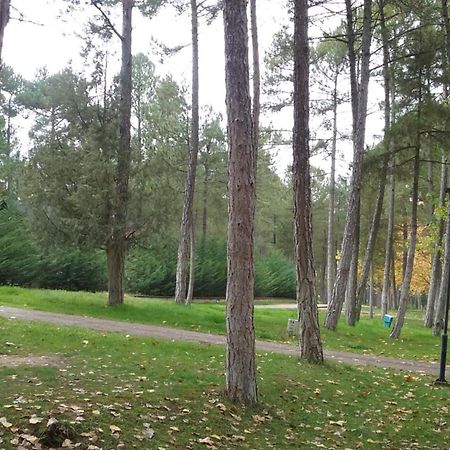 Camping Caravaning Cuenca Куэнка Экстерьер фото