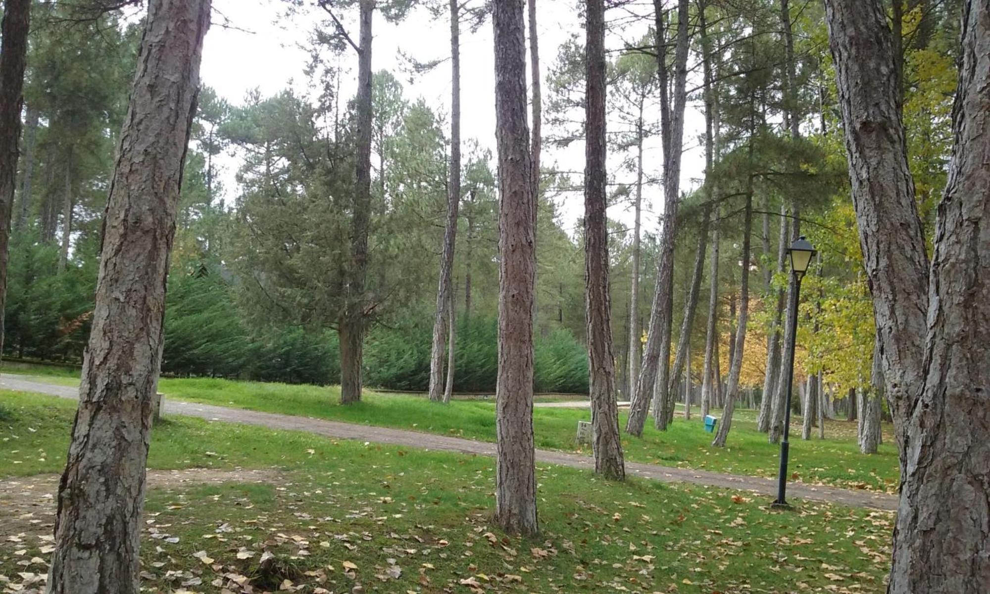 Camping Caravaning Cuenca Куэнка Экстерьер фото