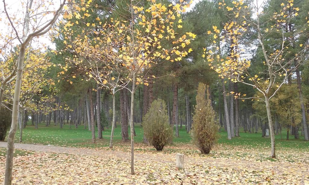 Camping Caravaning Cuenca Куэнка Экстерьер фото